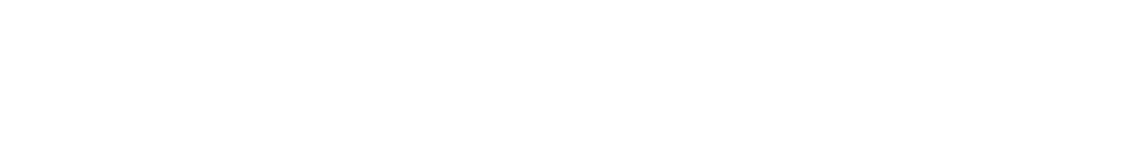 Persistent Flow